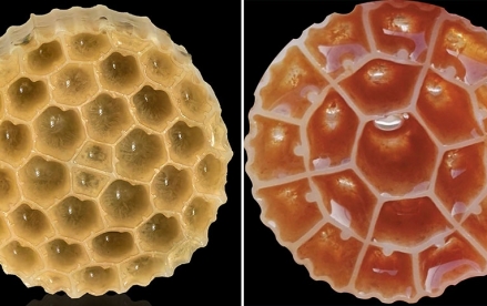 桐鄉小老板塑料：MBBR填料領軍者，以創(chuàng)新技術賦能全球污水處理